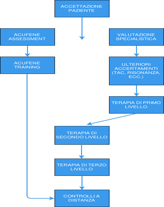 Modello di organizzazione del centro di diagnosi e terapia multidisciplinare degli acufeni - Metodica di intervento nella strategia sugli acufeni